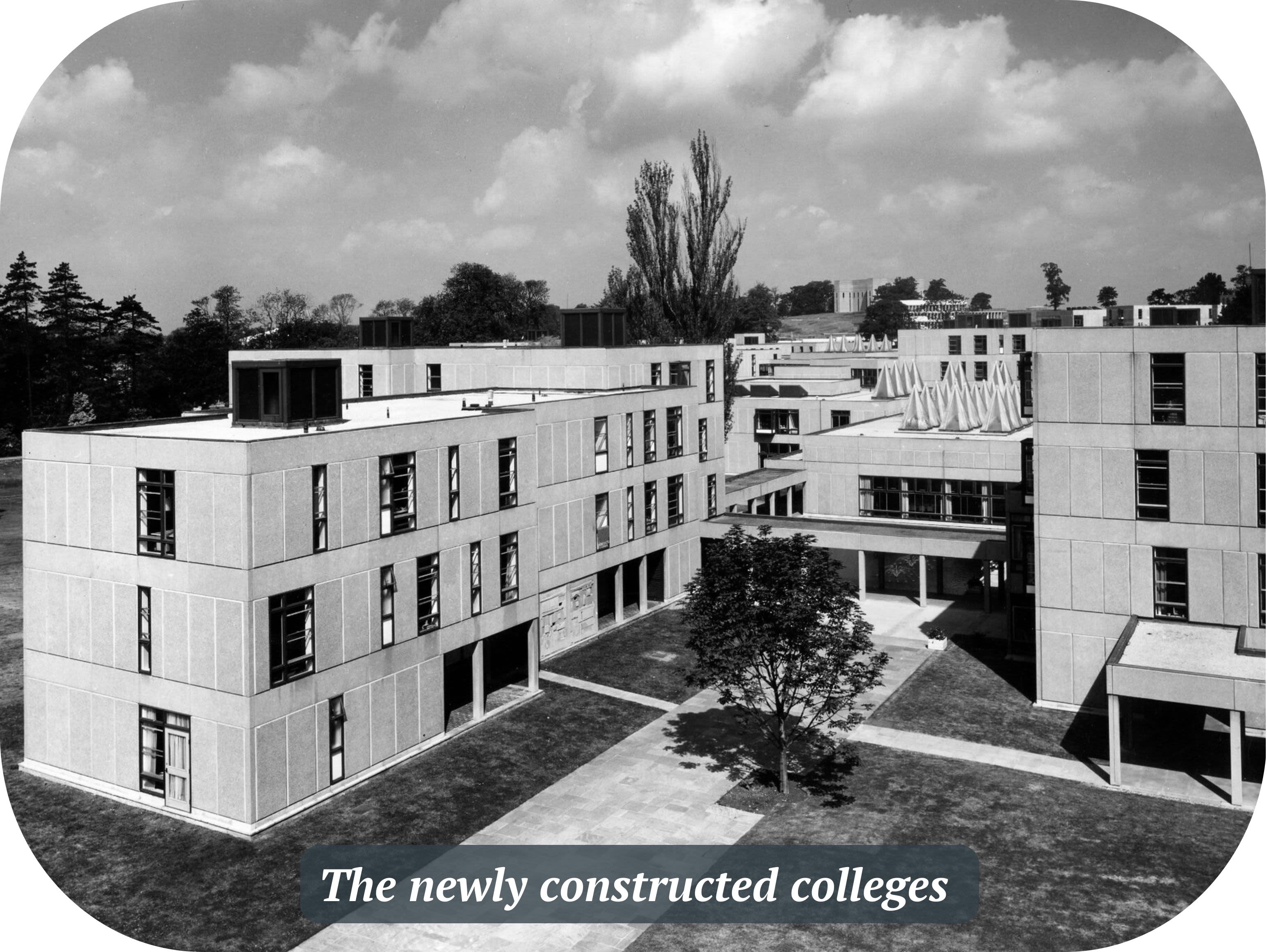 Newly constructed colleges